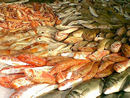Pesce fresco a Portopalo